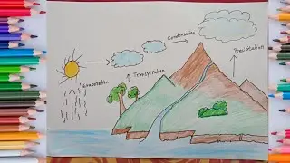 How To Draw The Water Cycle - A School Project | water cycle drawing step by step