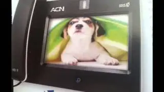 acn new Videophone
