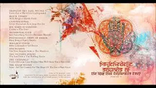 Spacegazer - Not Your Steppin&acute; Stone (Monkees)