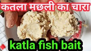 कतला मछली का चारा || कम समय में ज्यादा शिकार करने के लिए || katla fish bait || Sundar Bihar
