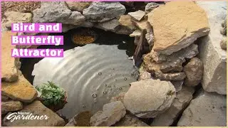 DIY Water Features | Volunteer Gardener