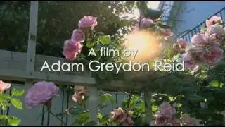 Marion Woodman: Dancing in the Flames Official Trailer