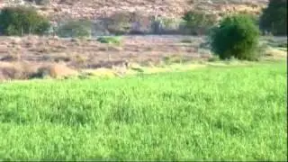 High Velocity Outdoors- Africa