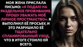 ЖЕНА потребовала РАЗВОДА по почте. Мой логичный ответ разрушил её тщательно продуманный план