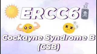 The Beginner&rsquo;s Guide to Cockayne Syndrome B and the ERCC6 Gene
