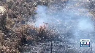 Firefighters across Jefferson Parish unite to douse flames in the Jean Lafitte National Park