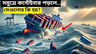সমুদ্রে পড়ে যাওয়া জাহাজের কন্টেইনারগুলোর কী হয়? | Lost Containers at Sea | FEHAAB 