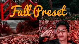 Lightroom Mobile free Tutorial| 2020 Lightroom Preset| fall day Preset #lightroom2020tutorial