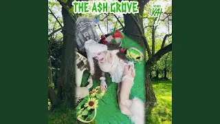 The Ash Grove