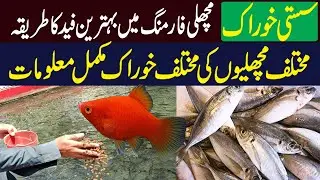 Best Food For Your Fish | Fish Farming Business in Pakistan || Kissan Pakistan