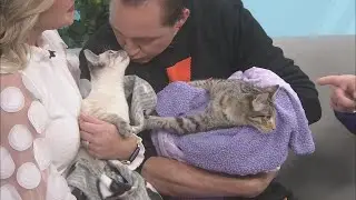 Sponsored content: Shelter Spotlight: Evie & Oliver