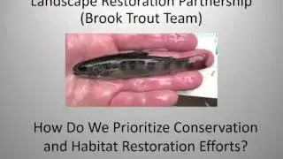 11 LSC Strategic BT habitat conservcation and restoration in WI LS basin Quinlan