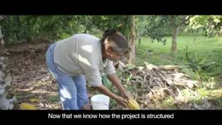 Deforestation-Free Cocoa