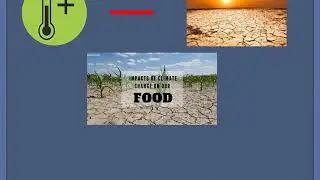 Climate Change And its feedback cycle