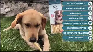 Lamb Tail Dog Chew - All Natural Dog Chew- Made from Grass-fed Savory Lamb