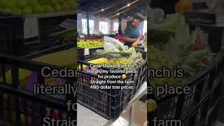 Cheap produce and straight from the farm check out Cedar Market Ranch in Dallas 🍒🥑🍑 #farmmarket