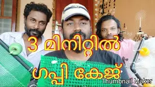 #Guppi_Breedingcage #Bettafish_breeding_Kerala
