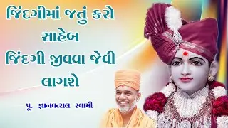 BAPS Motivational Speech | Swaminarayan 2025 | Gyanvastal Swami | જિંદગીમાં જતું કરો સાહેબ |