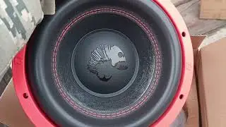 Обзор, распаковка и прослушивание Piranha 10 V.2