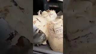 Most Shocking Divorce Reason 🤯💔