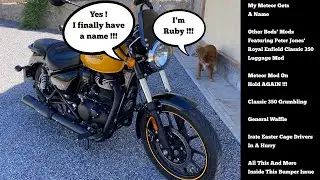 My Royal Enfield Meteor 350 - After Ten Months He Finally Gets A Name ! Say Hello To Buddy !
