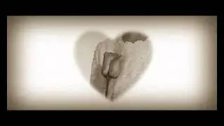 First Love