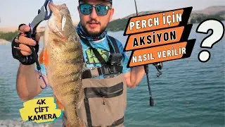 Perch İ&ccedil;in Aksiyon Nasıl Verilir ? Tatlı Su Levreği Avı / Perch Avı !