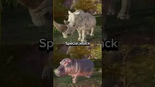Savannah life hippo vs rhino