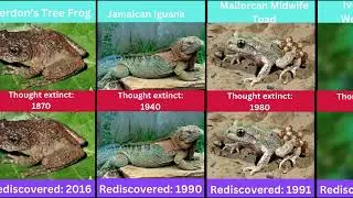 Extinct Animals That Actually Came Back