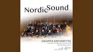 Serenade for String Orchestra, Op. 11: I. Preludium