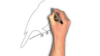 Draw a Fly Catching Moment in One Line | Easy Minimalist Nature Art Tutorial