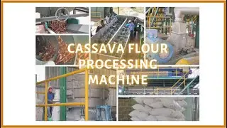 What are cassava flour milling machines?