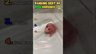 Ranking funny and weird frogs😂🐸