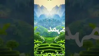 Teri jalion