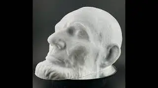 Elegoo Centauri: Carbon  Abraham Lincoln's Death Mask
