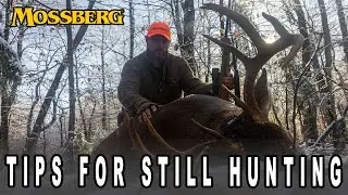 Tips For Still Hunting Whitetails