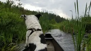 Day trip in Temagami