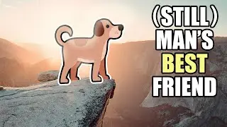 Noutek's Bounty #10 Revisited - Super Auto Pets - Dog