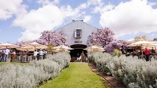 A Day at Lowe Winery: Wine Tasting, Farm Tour and More