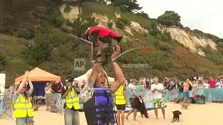 Whippet becomes UK Dog Surfing Champ at record-breaking event