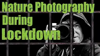 Nature Photography During Lockdown - Nature Photography Ideas At Home