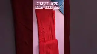 Easy Dog clothes /DIY/ Only using leggings/ Mallow..