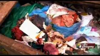 Dangerous Dump (4.30 promo) (15-07-2014)