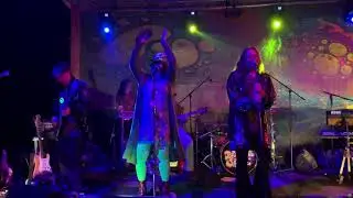 Magic Carpet Ride - The Psychedelic Shadow Show