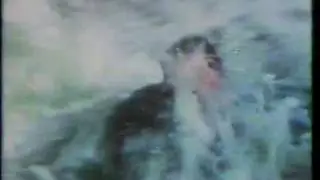 Beyond the Poseidon Adventure 1979 TV trailer