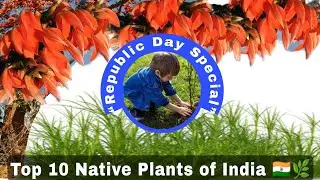 🇮🇳&ldquo;Roots of India 🇮🇳 | 10 Powerful Native Plants&rdquo; ll &ldquo;Republic Day Green Tribute ll