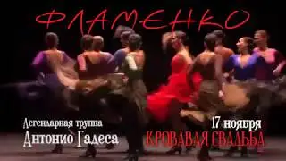 Фламенко - легендарная труппа Антонио Гадеса в БКЗ 
