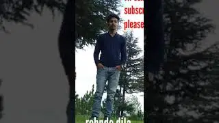 Rehnde dila