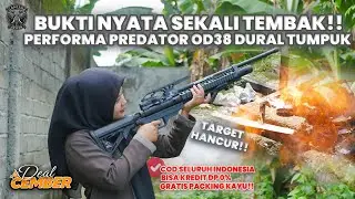 BUKTI NYATA SEKALI TEMBAK!! UJI PREDATOR OD38 DURAL TUMPUK