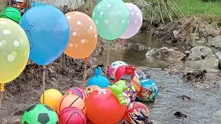 Kompilasi Mencari Bola Basket, Bola Sepak, Bola Semangka, Bola Kecil & Bola Karakter 🏀🍉⚽